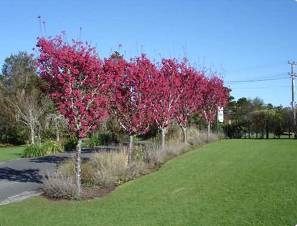 Warkworth Country House Extérieur photo