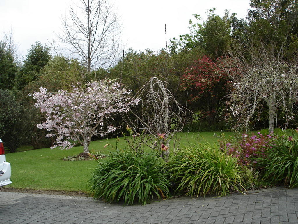 Warkworth Country House Extérieur photo
