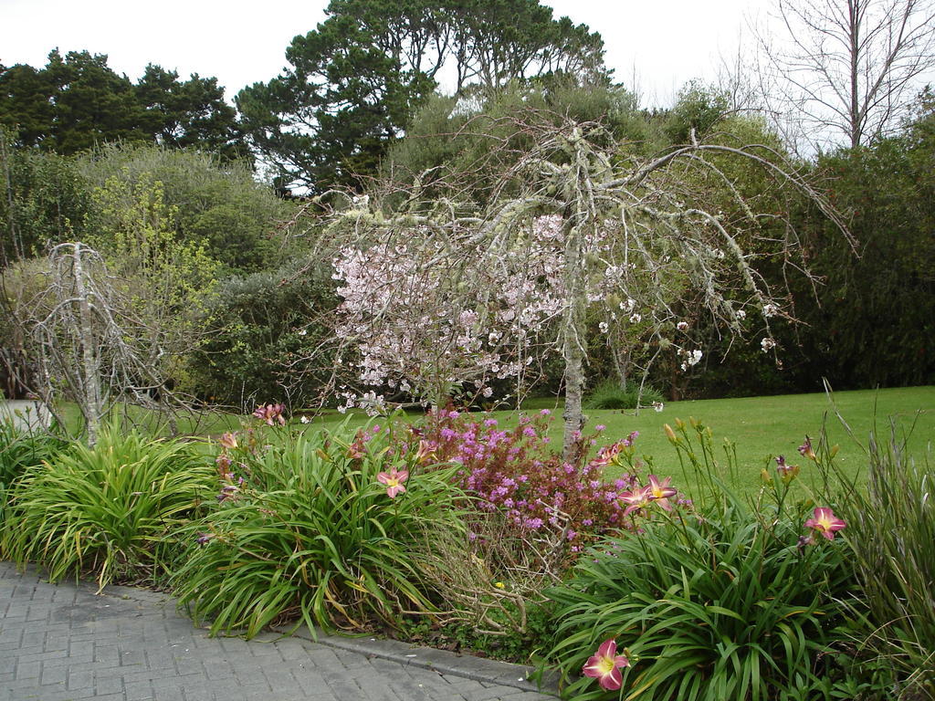 Warkworth Country House Extérieur photo
