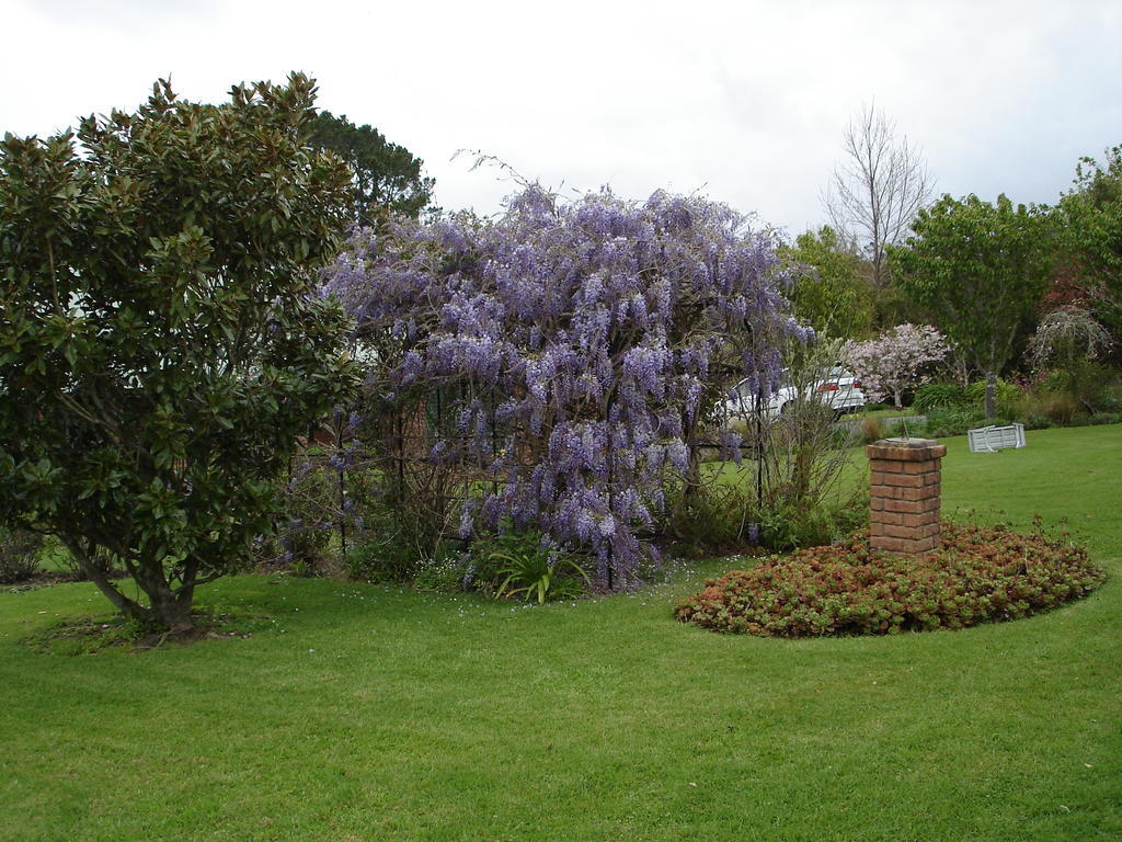 Warkworth Country House Extérieur photo